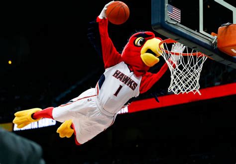 Hawks mascot name